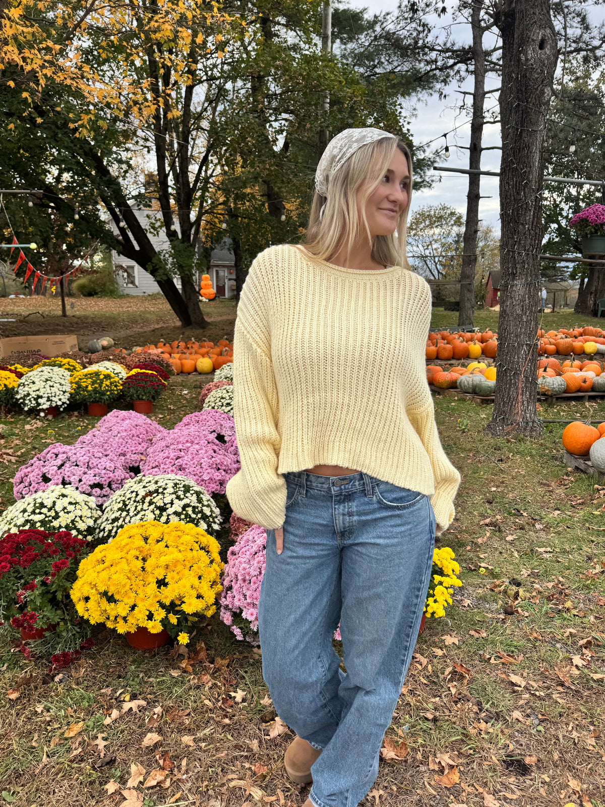 Buttercup Knit Sweater