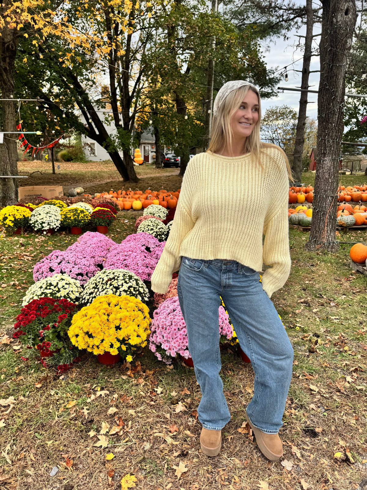 Buttercup Knit Sweater