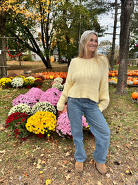 Buttercup Knit Sweater