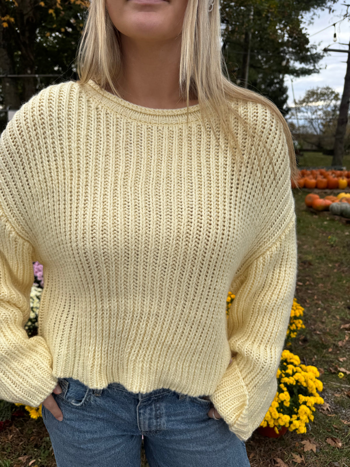 Buttercup Knit Sweater