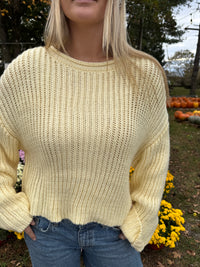 Buttercup Knit Sweater