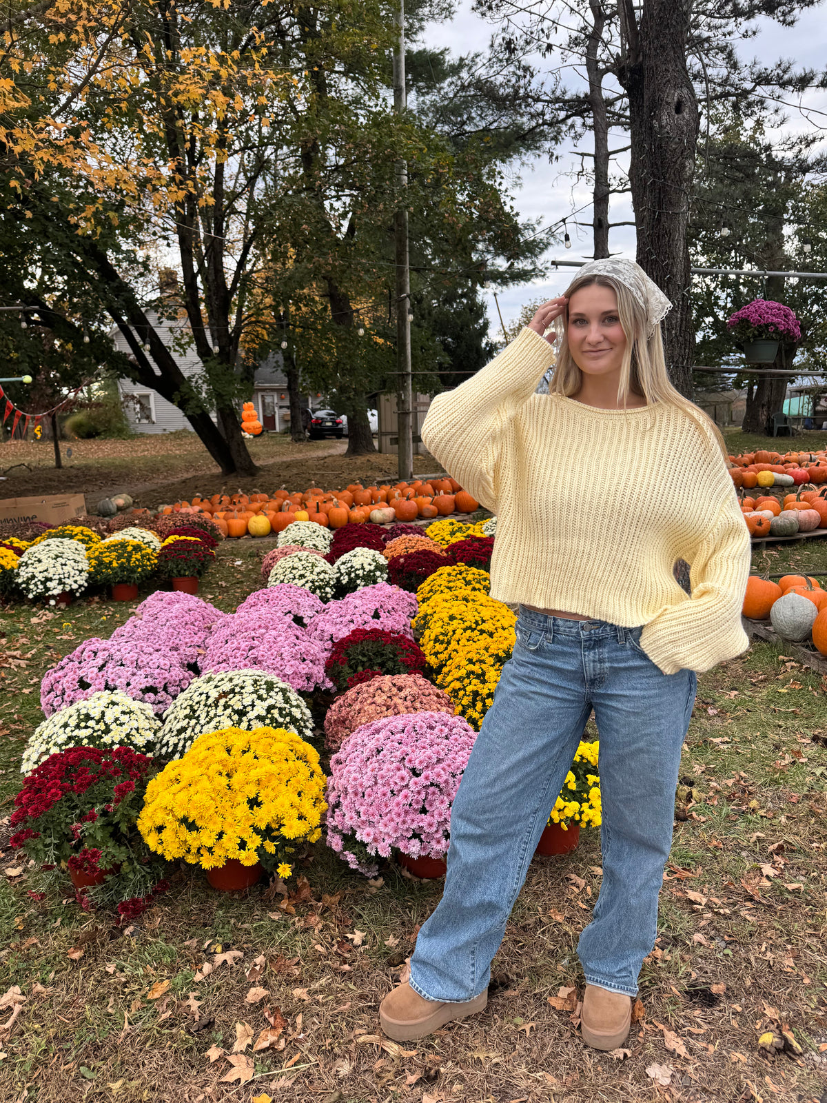 Buttercup Knit Sweater