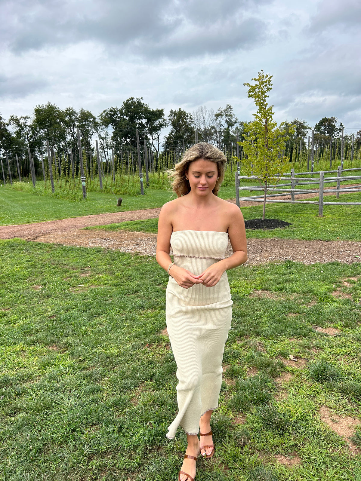 Francesa Maxi Dress