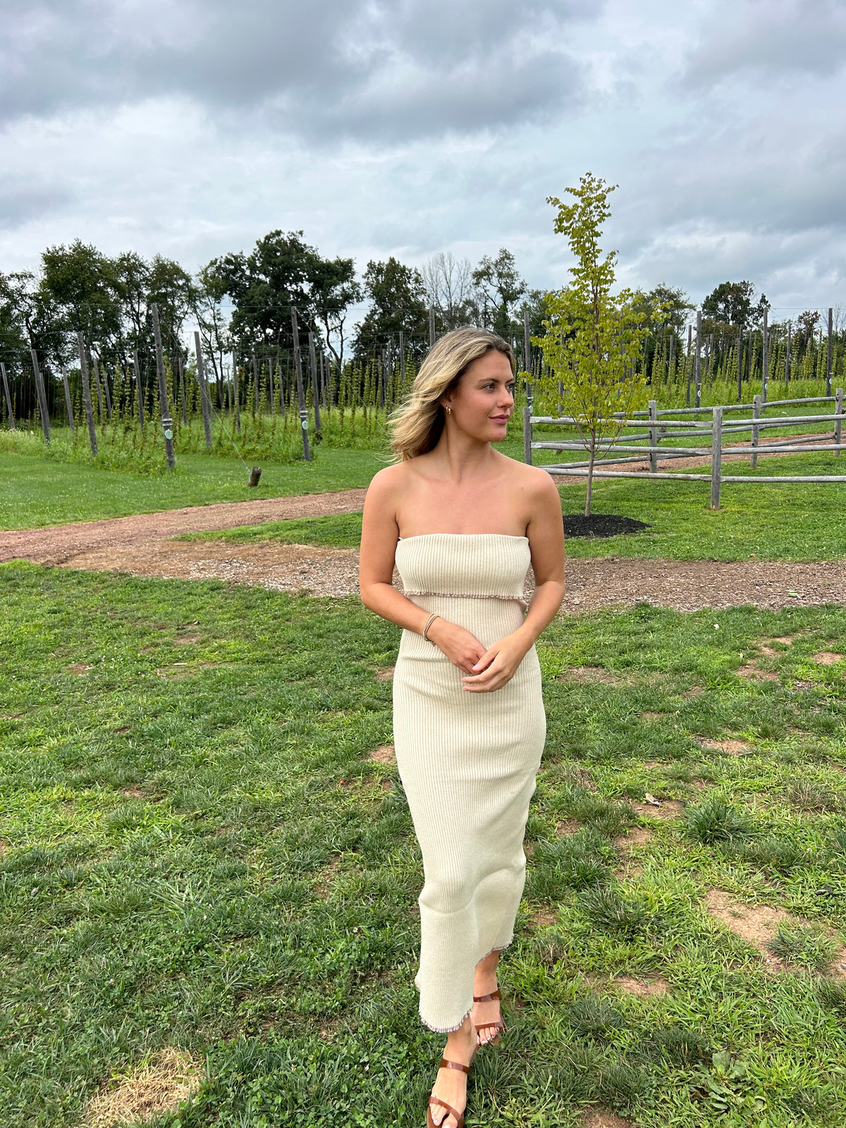 Francesa Maxi Dress