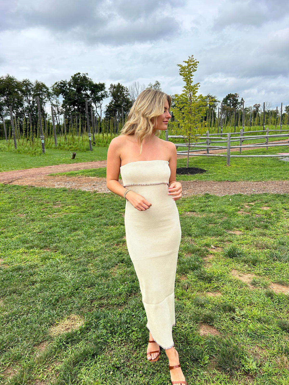 Francesa Maxi Dress
