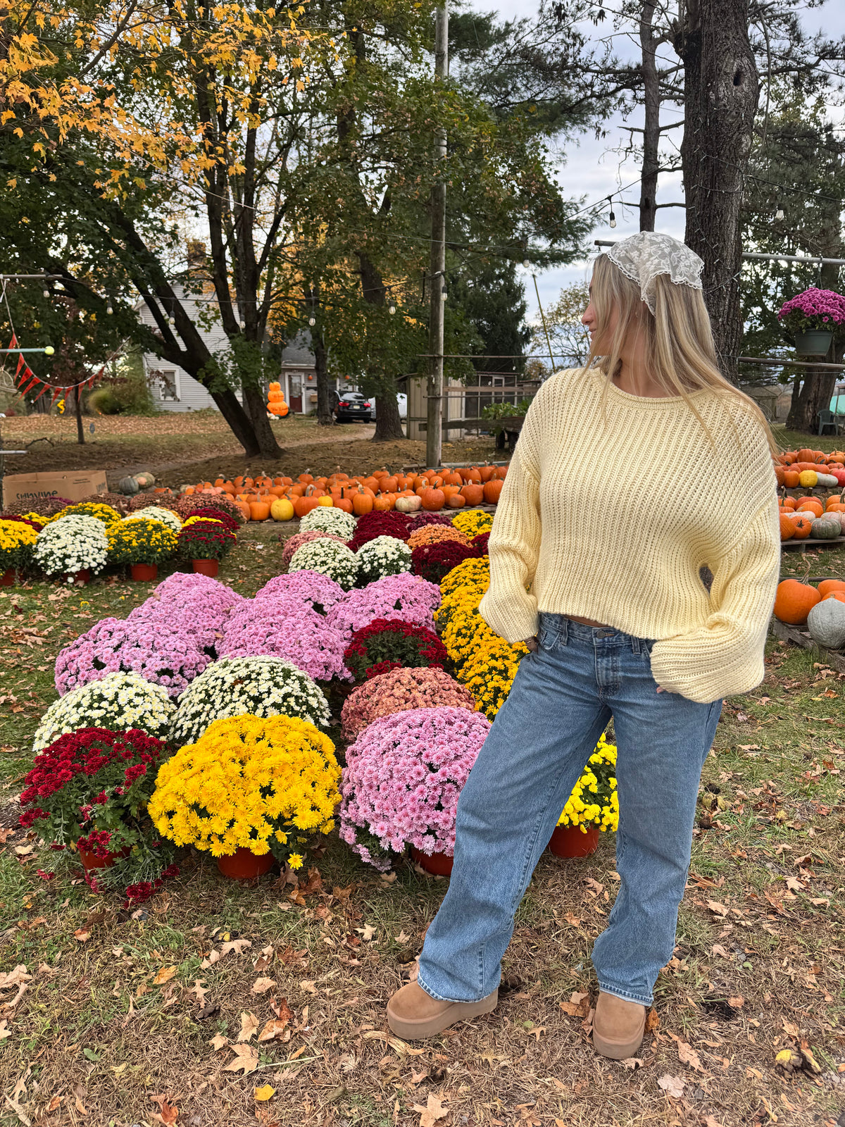 Buttercup Knit Sweater