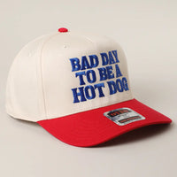 Bad Day to be a Hot Dog Hat