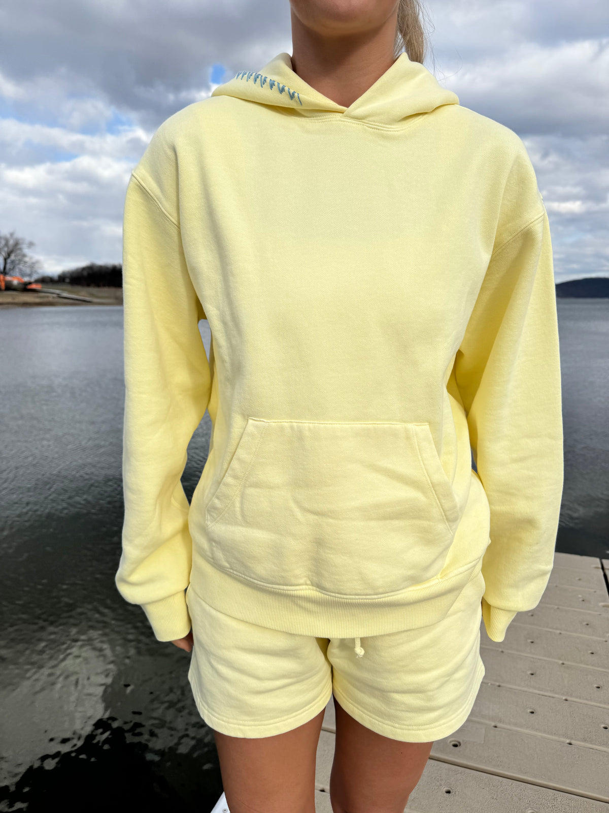 Lemonade Hoodie