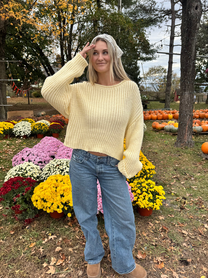 Buttercup Knit Sweater