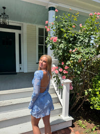 Swan Lake Dress