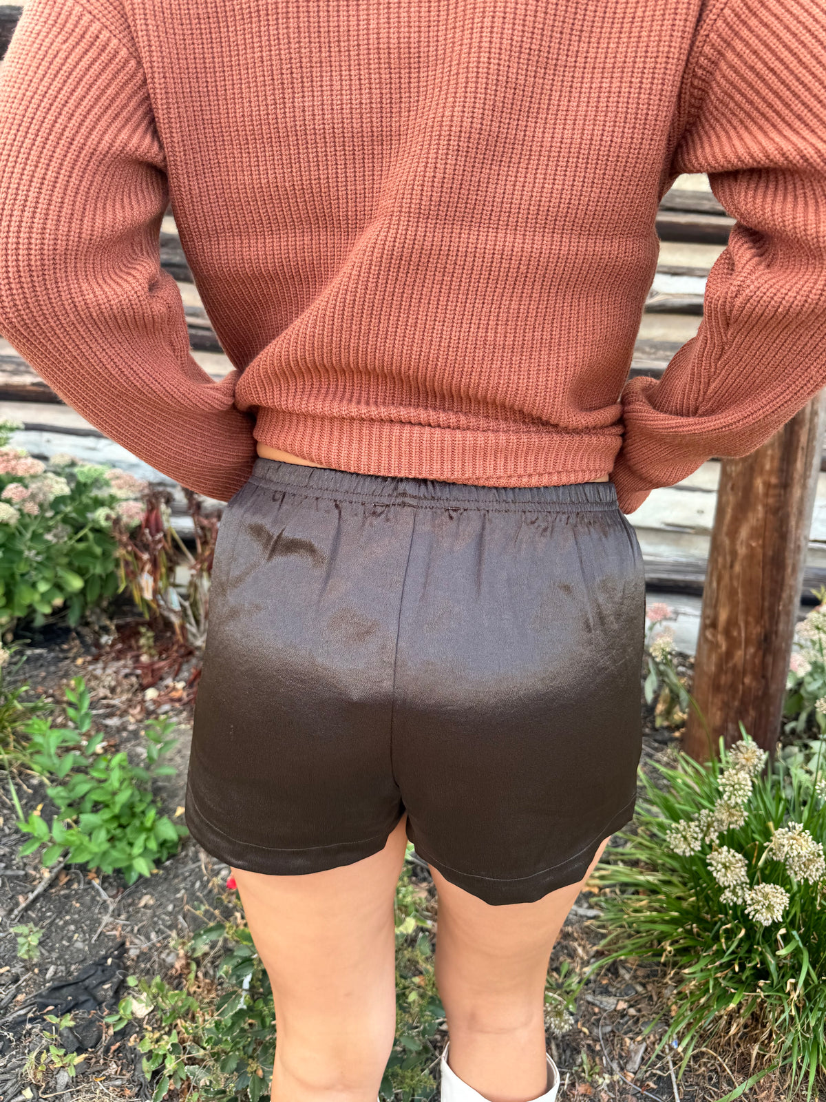 Charlotte Satin Shorts