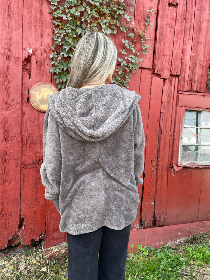 Steel Grey Bear Coat